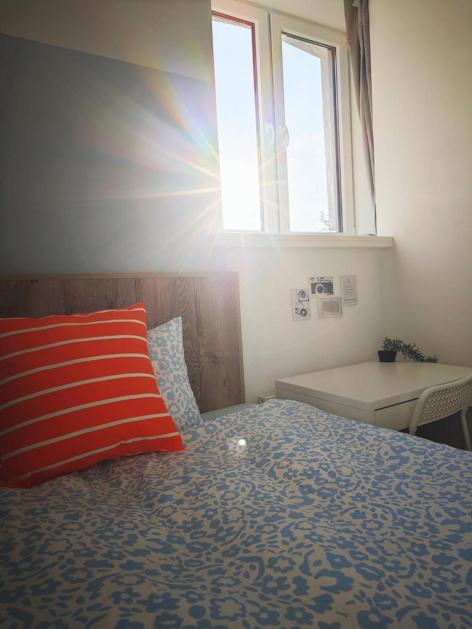 Accommodatie bij particulieren Homecoming *