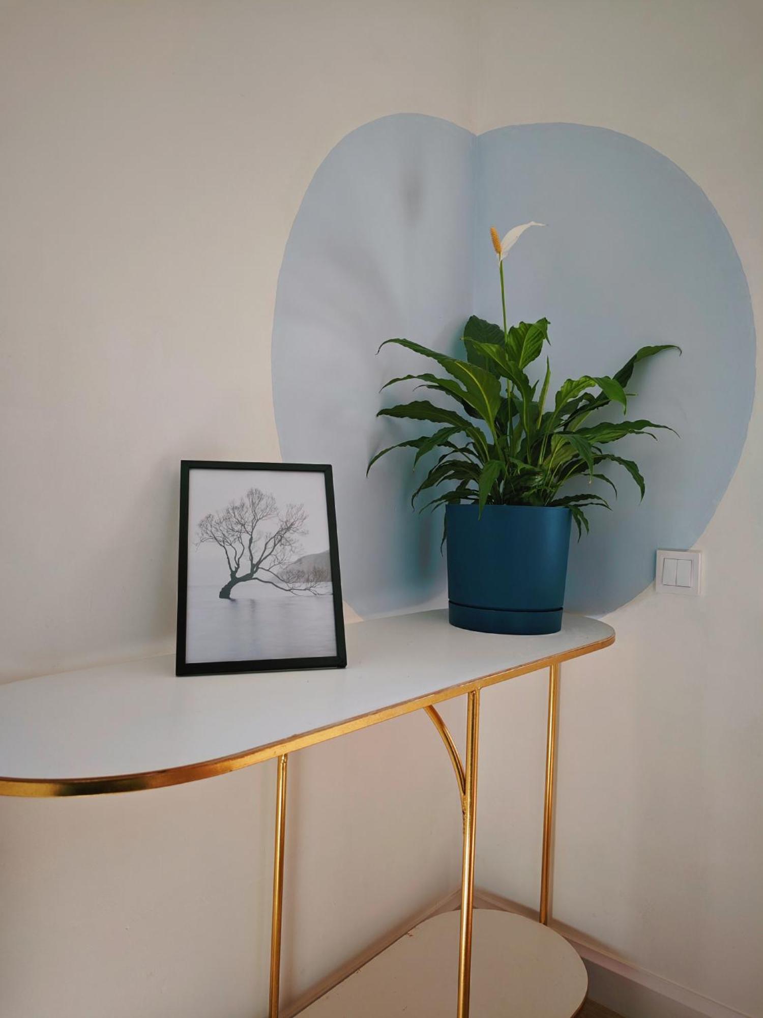 Homecoming Accommodatie bij particulieren
